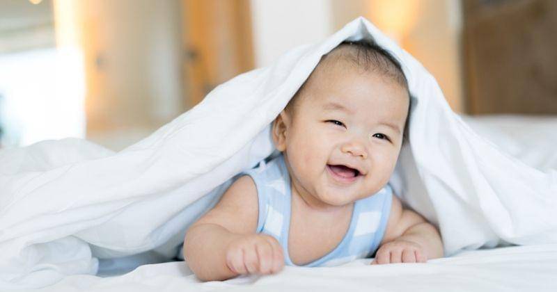 Shutterstock/alice-photo